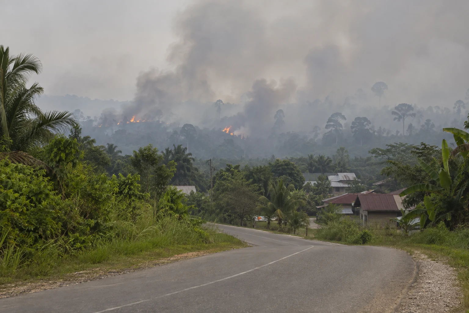 Asap Karhutla Kalimantan: Dampak Kesehatan dan Perlindungan